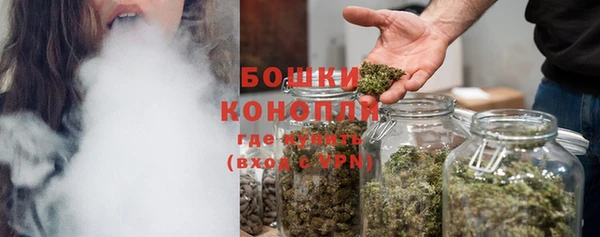 крисы Кукмор