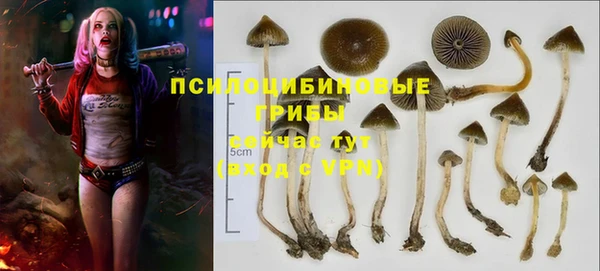 герыч Калининец