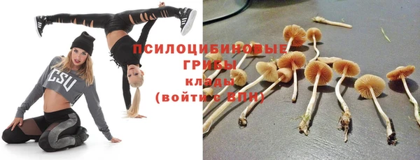 крисы Кукмор