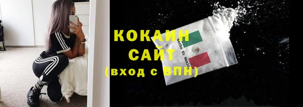 PSILOCYBIN Кулебаки