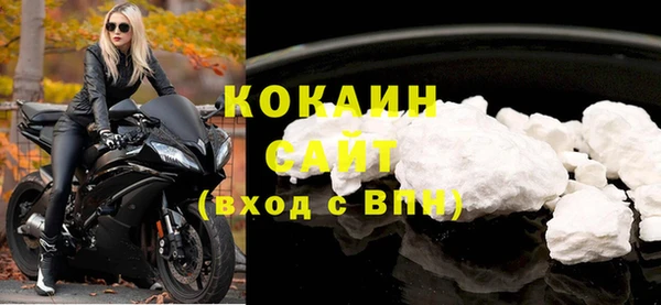 PSILOCYBIN Кулебаки