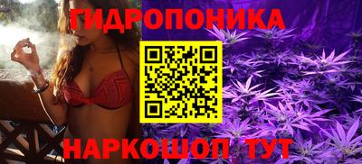 хмурый Аргун