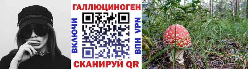 Псилоцибиновые грибы ЛСД  Братск 