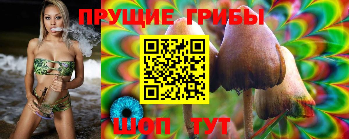 Псилоцибиновые грибы мухоморы Братск